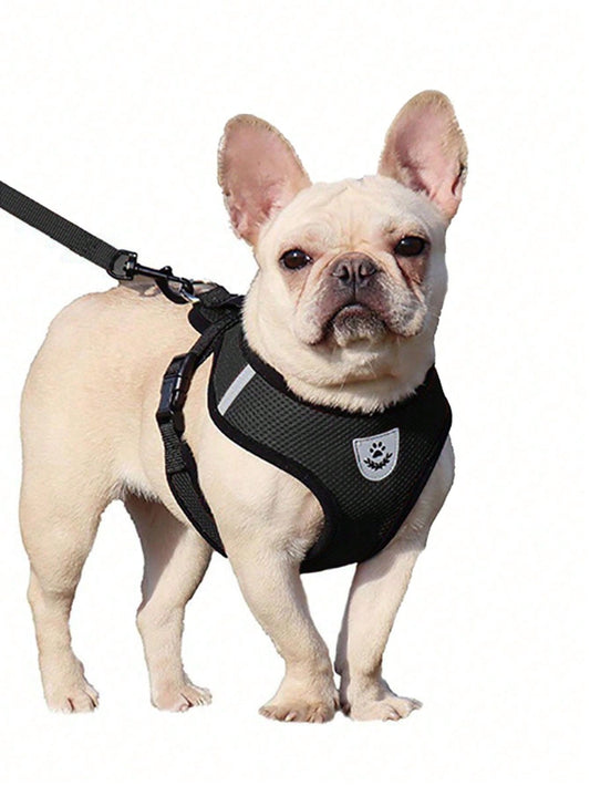 "Taking It All In Stride" Pet Cat & Dog Leash With Anti Escape Adjustable Chest And Back Strap